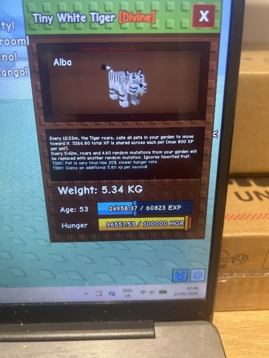 White tiger — Account account