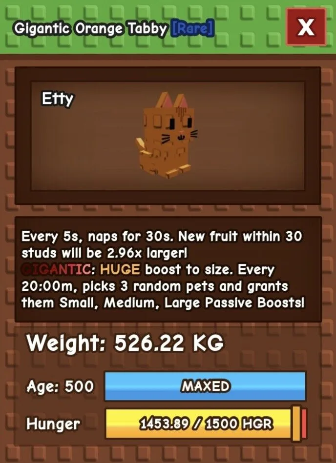 GIGANTIC Orange Tabby (526.22 KG) RAREST AND BIGGEST SIZE!