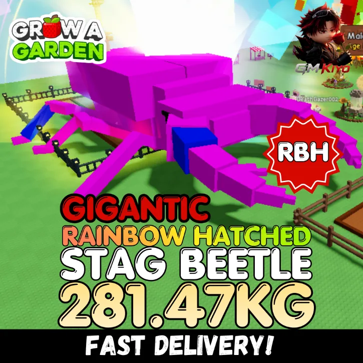 GIGANTIC Rainbow Hatched Stag Beetle 281.47KG RBH Age 500 INSTANT DELIVERY
