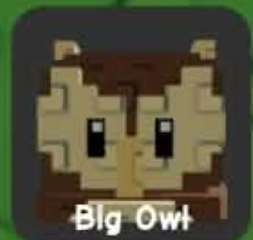 Owl
