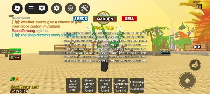 Pet Age Boost Service Level 1 50 — Account account