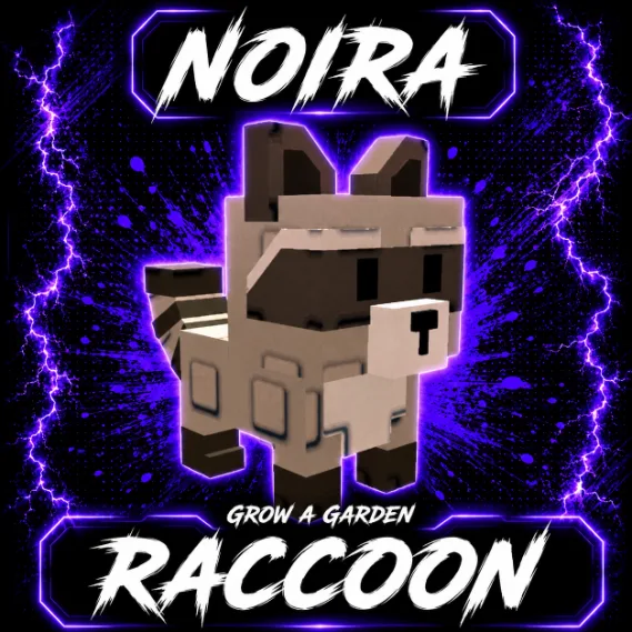 Raccoon