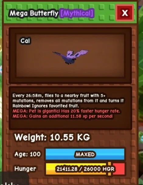 Mega butterfly age 100/fast delivery 10-17KG