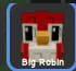 Robin (Legendary) — Account account