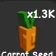Carrot Seed (Common) — Account account