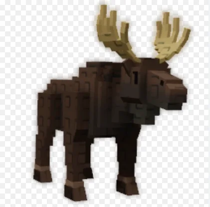 Moose — Account account