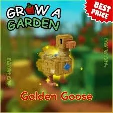 Shiny goose Divine — Account account