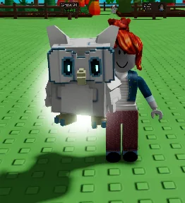 3x Owl Pet — Account account