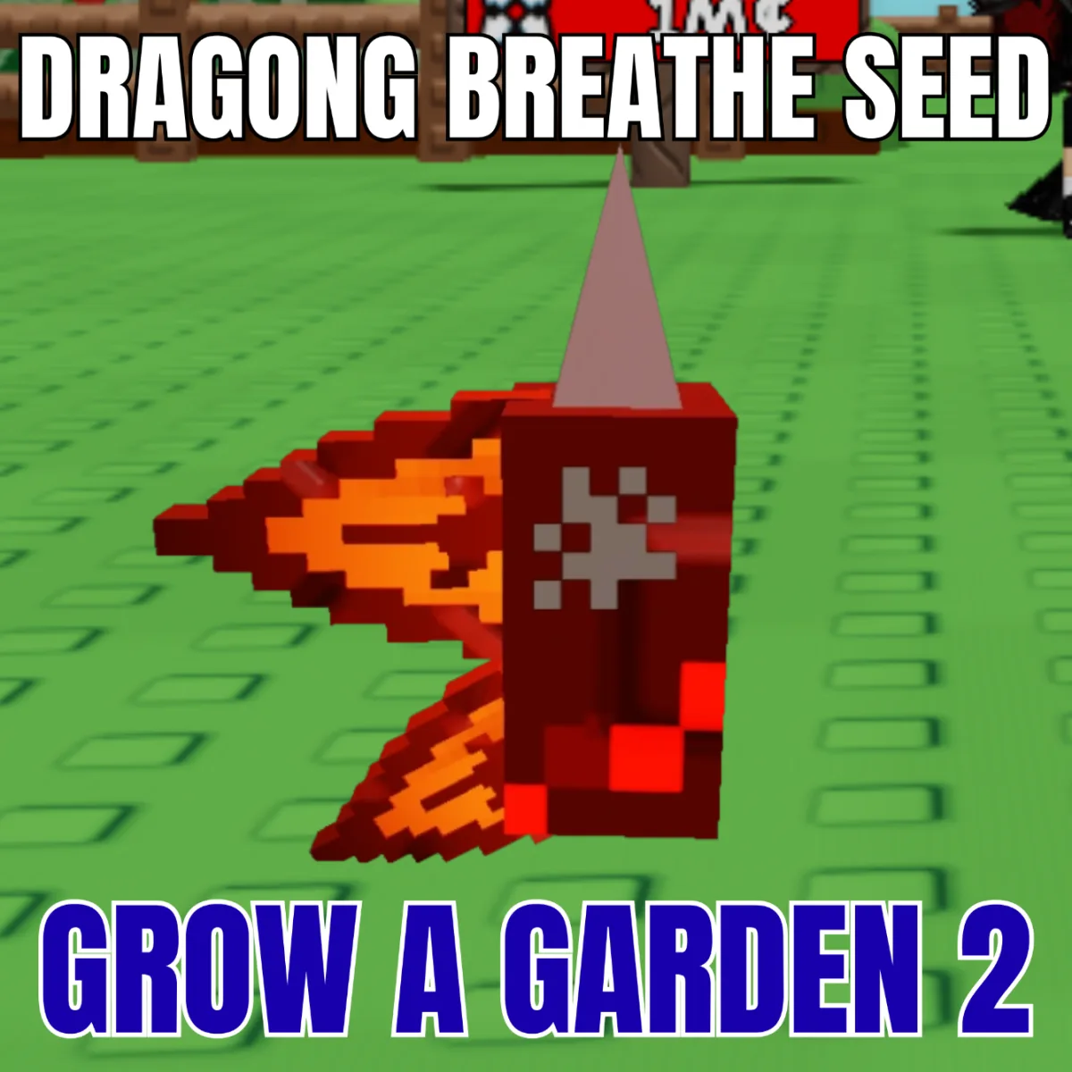 Dragon's Breath Seed (Super) — Account account