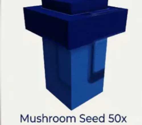 Mushroom Seed — Account account