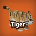 Tiger 3X — Account account