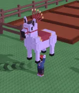 Show Pony