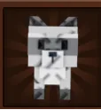 Raccoon (Super)
