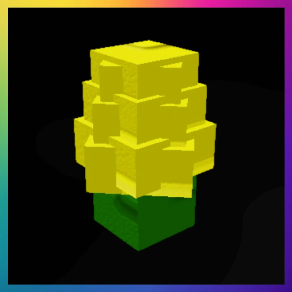 Corn Seed