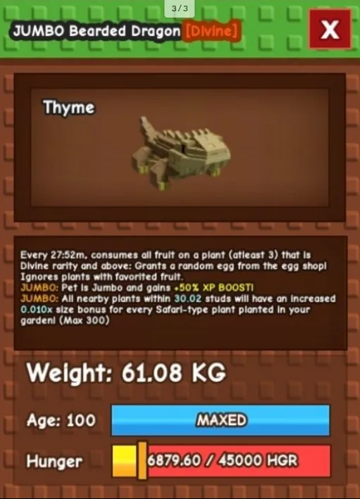 HUGE JUMBO BEARDED DRAGON 60KG - 61KG — Account account