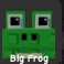 Frog (Common)