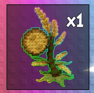 LIMITED MOON SEED RAINBOW MOONGRAIN MEADOW SEED FAST DELIVERY ONLY 1K AVAILABLE