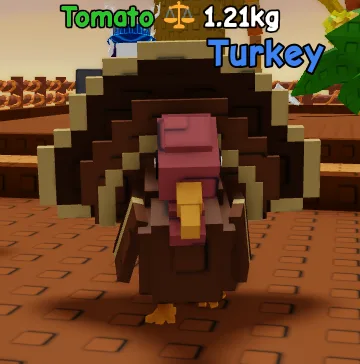 Turkey Fast Delivery (Rare)