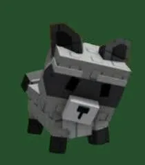 Raccoon — Account account