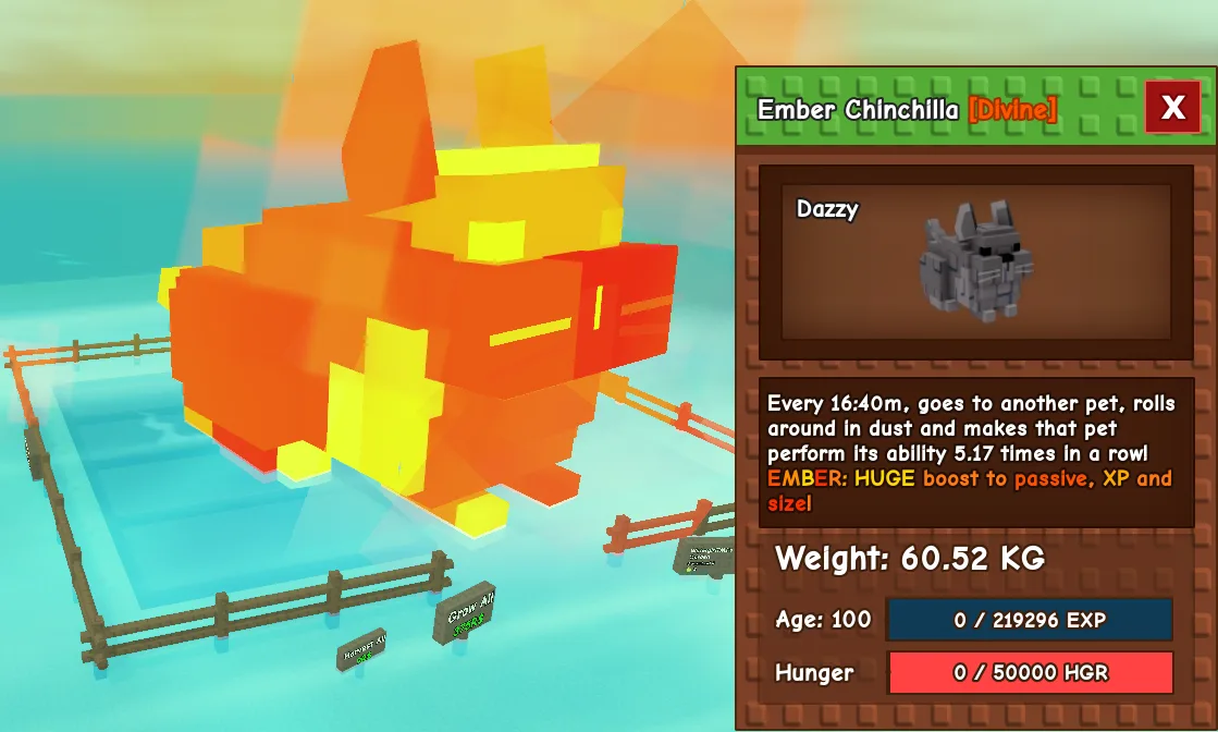 60.52kg Age 100 Ember Chinchilla