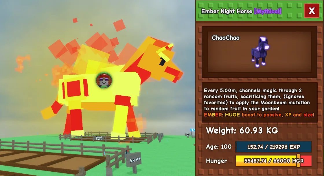 60.93kg Age 100 Ember Night Horse