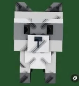 Raccoon — Account account