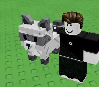 Raccoon (Super)