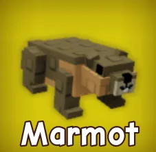 Marmot Grow A Garden