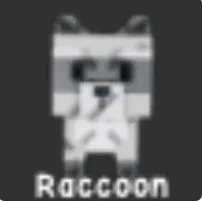 Raccoon