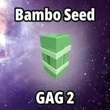 Bamboo Seed