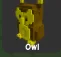 Owl
