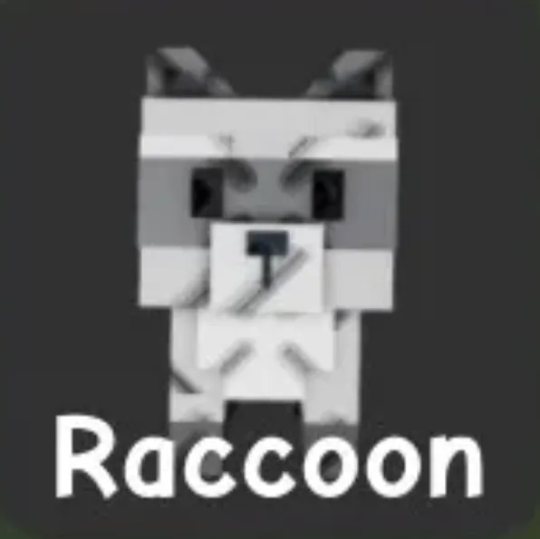 Raccoon (Super) — Account account