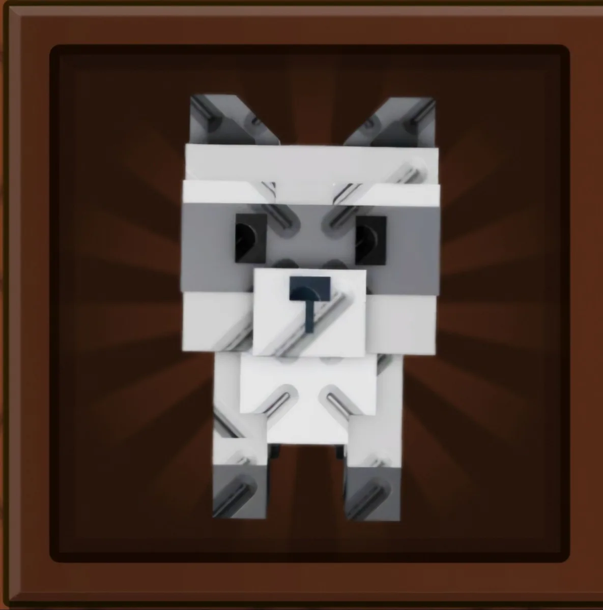 Raccoon — Account account