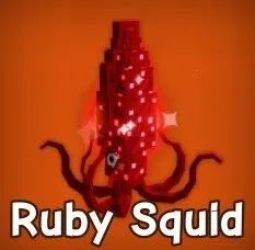 Ruby Squid