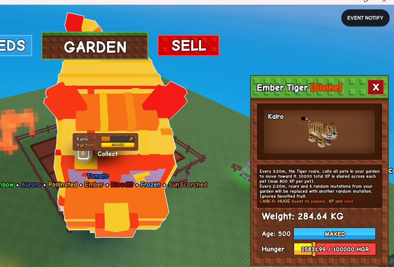 280kg+ Ember Tiger super handsome//this is not MOTH// i run out of tag limitation//this is ember tiger/// Divine pet//roar all pets move forward//XP