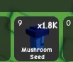 Mushroom Seed