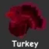 Turkey (Rare)