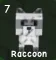 Raccoon (Super)