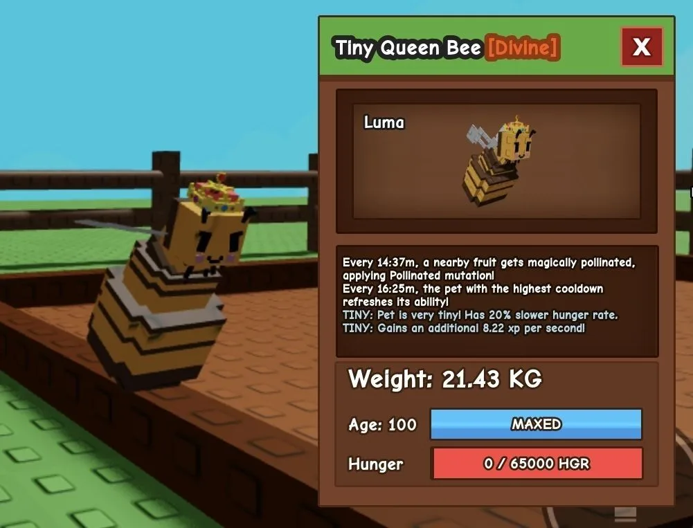 TINY Queen Bee - 21.43 KG (Age 100)