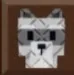 Raccoon
