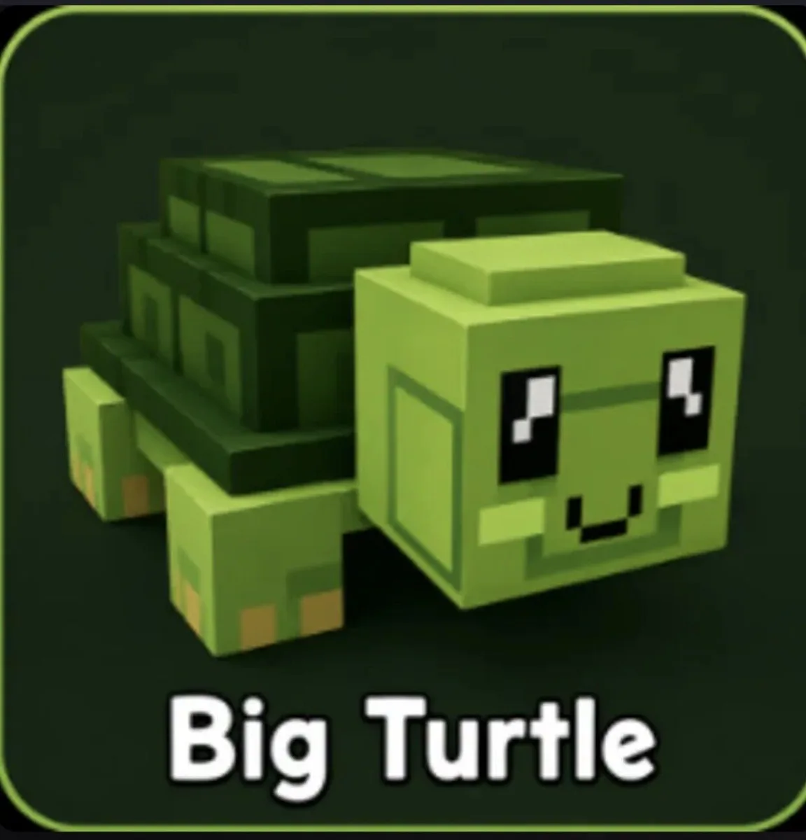 Turtle (Rare)