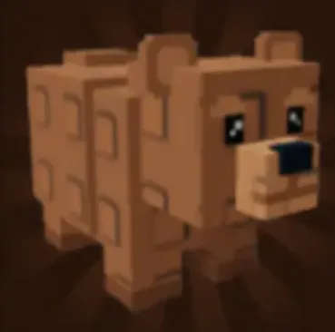 Bear — Account account