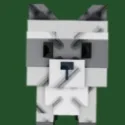 Raccoon (Super)