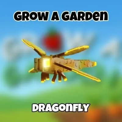 Dragonfly — Account account