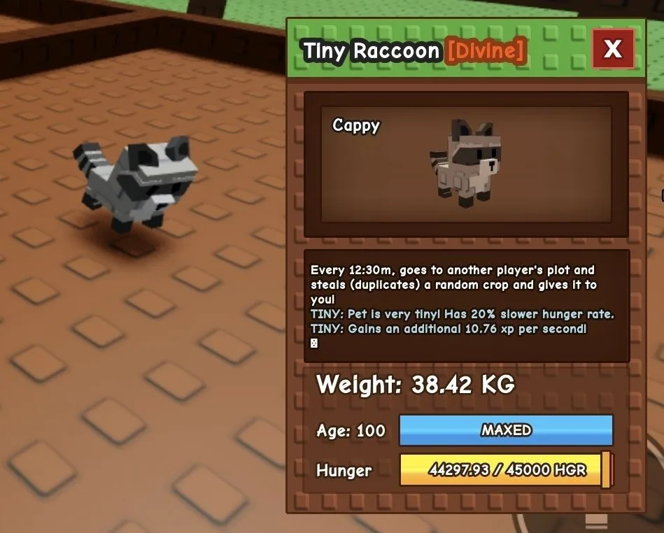 Huge TINY Raccoon - 38.42 KG (Age 100) — Account account