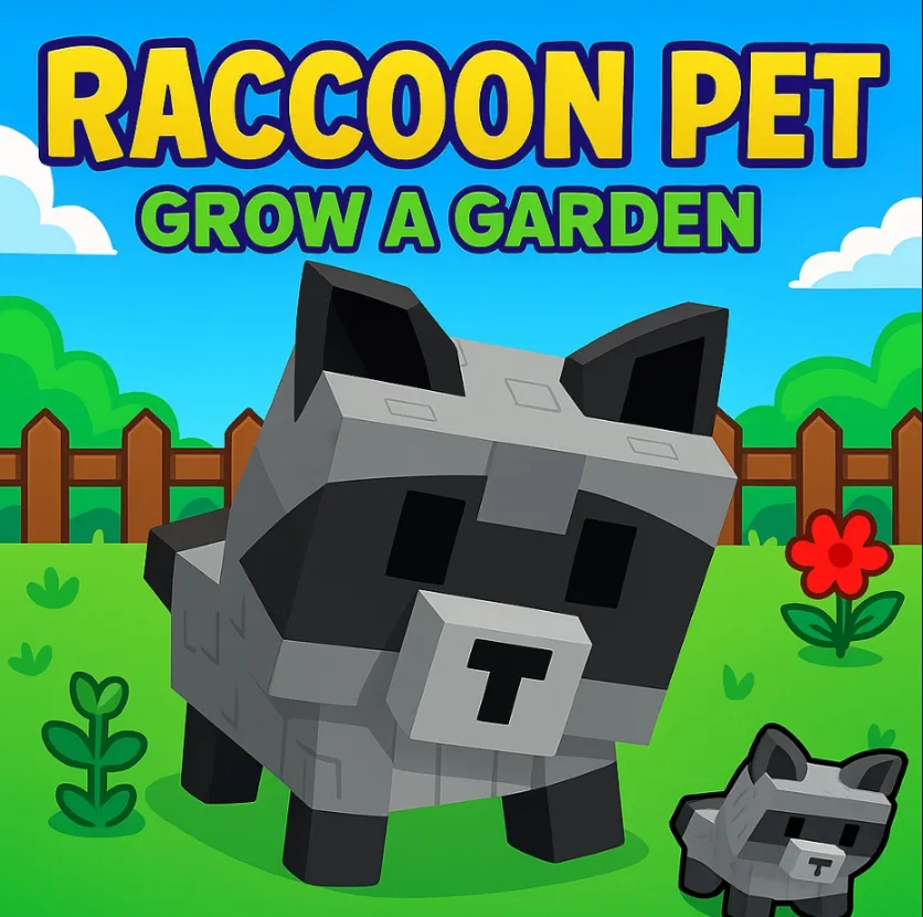 Raccoon