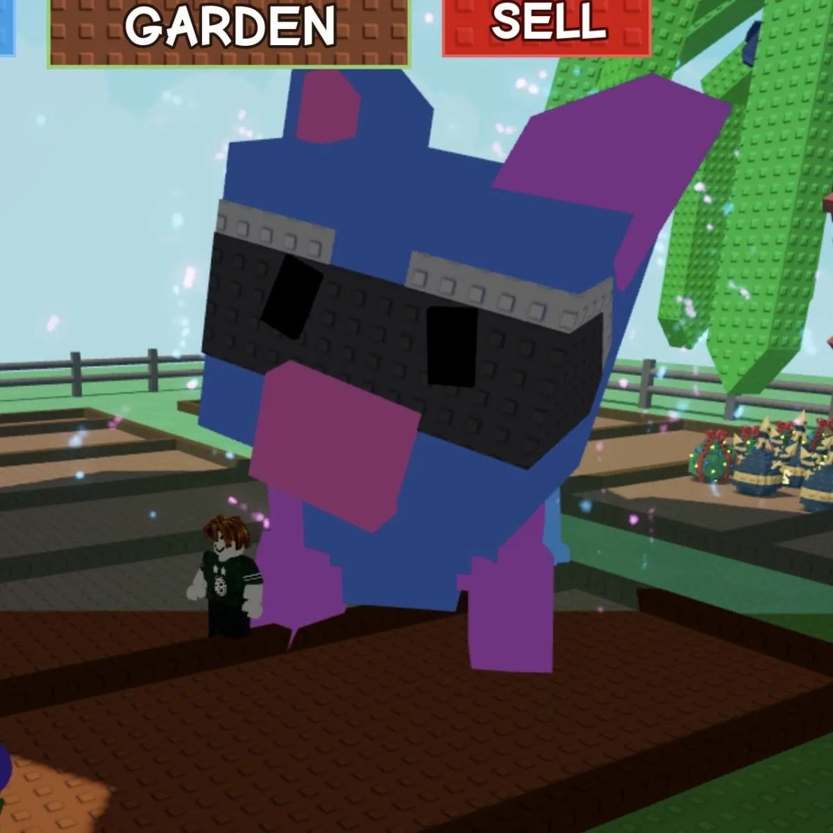 Level 500 - Blossoming Raccoon 289.36 kg - Non Dupe - Clean NO Toy