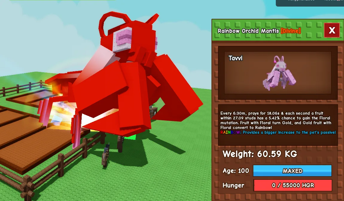 60kg+ Rainbow / Aurora / JUMBO Orchid Mantis — Account account