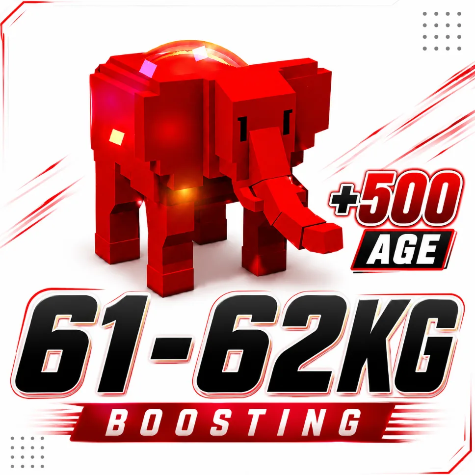 1x 61 62KG Weight Boost + Age 500