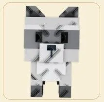 Raccoon